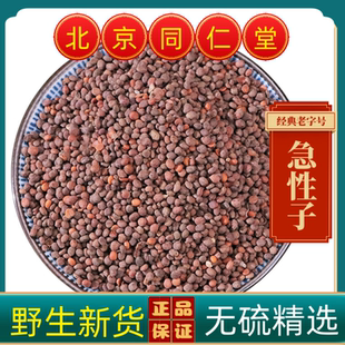 同仁堂急性子中药材急性子野生急性子灯盏花子凤仙花子染指甲花子