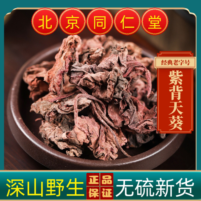 同仁堂紫背天葵中药材紫背天葵野生红天葵精选紫背天葵草红天葵草