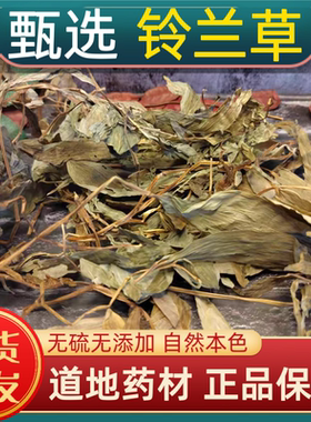 铃兰中药材铃兰草新货 玉铃君影草 鹿铃草 风铃草 铃铛花新货上市