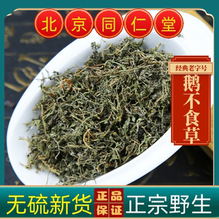 同仁堂鹅不食草中药材鹅不食草野生鹅不食草 通窍鼻塞 鹅不食草粉