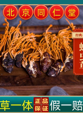 同仁堂中药材真蛹虫草带蛹体北冬虫夏草孢子头野生干货煲汤泡酒