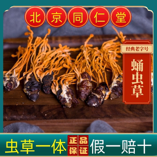 同仁堂中药材真蛹虫草带蛹体北冬虫夏草孢子头野生干货煲汤泡酒