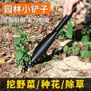 挖土尖头铲子洛阳铲家用种花盆移盆松土赶海挖野菜大蒜不锈钢新款