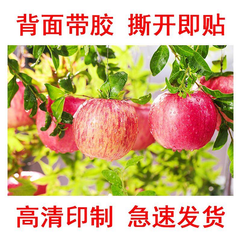 水果店装饰画墙贴画鲜果海报画客厅餐厅红平安果墙面自粘墙纸壁画,家居饰品,现代装饰画,淘宝优惠券,粉丝福利购,淘宝优惠卷