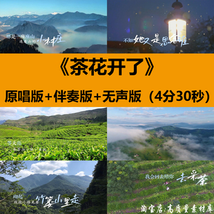 茶花开了王睿卓歌曲伴奏MV晚会表演出舞台LED大屏幕背景视频素材