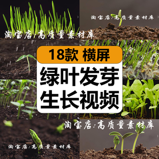 绿色幼苗嫩苗种子发芽植物快速生长延时从土壤破土而出短视频素材