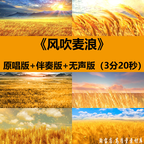 风吹麦浪歌曲伴奏金色小麦穗麦田演出舞台LED大屏幕背景视频素材
