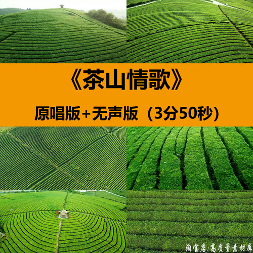 茶山情歌茶园风光采茶舞蹈表演出晚会舞台LED大屏幕背景视频素材
