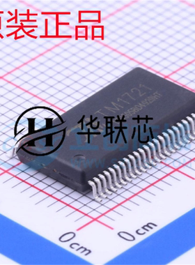原厂原装TM1721 封装SSOP-48 全新LCD驱动控制专用电路芯片