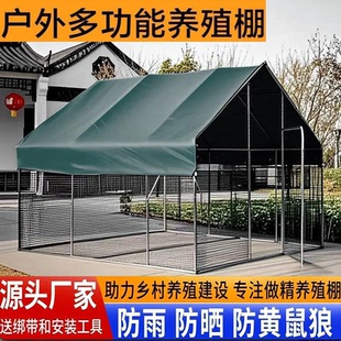 大型养殖鸡棚室外养殖孔雀钢管拼装农村鸡窝铁网笼舍钢架鸭鹅窝棚