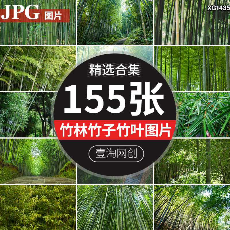 竹林竹子竹叶竹枝青翠密林绿色清新自然风景设计合成背景图片素材