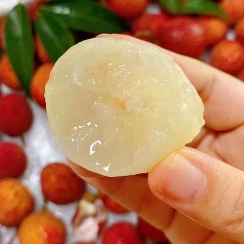 海南澄迈无核荔枝天赐良物