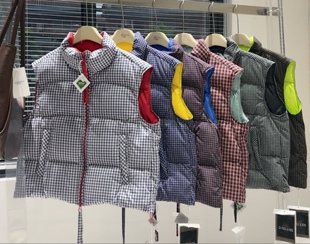 2025新款秋冬羽绒马甲张扬个性显瘦立领女短款95白鸭绒小个子外套