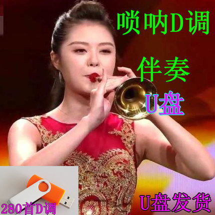 唢呐D调伴奏U盘音乐伴奏MP3音频唢呐伴奏电子琴弹奏优盘南阳