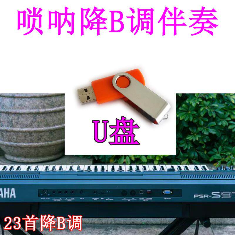 唢呐降B调伴奏U盘 专用降B伴奏U盘 降B调 电子琴给唢呐伴奏
