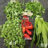 云南德宏新鲜蔬菜香料组合缅芫荽香柳小芫荽金芥红米辣总500克