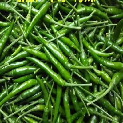 云南德宏青红小米辣新鲜朝天椒