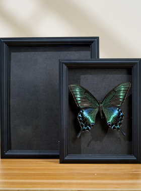 中空2cm蝴蝶标本相框 DIY手工纪念画框干花标本玻璃摆台包纸框
