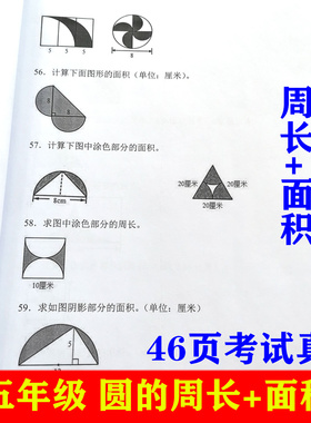 574五年级数学下册圆的周长面积半径直径应用题计算专项训练本