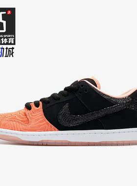 Nike/耐克正品Dunk SB low男子低帮运动休闲鞋 313170-603