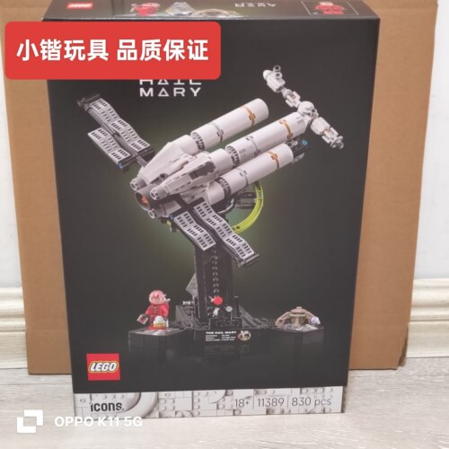 乐高11389极限返航ICONS系列拼搭积木益智玩具礼物
