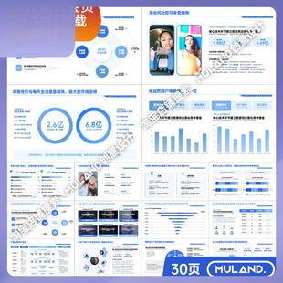 M79蓝色数据分析汇报逻辑架构图市场营销品牌电商业计划书PPT模板