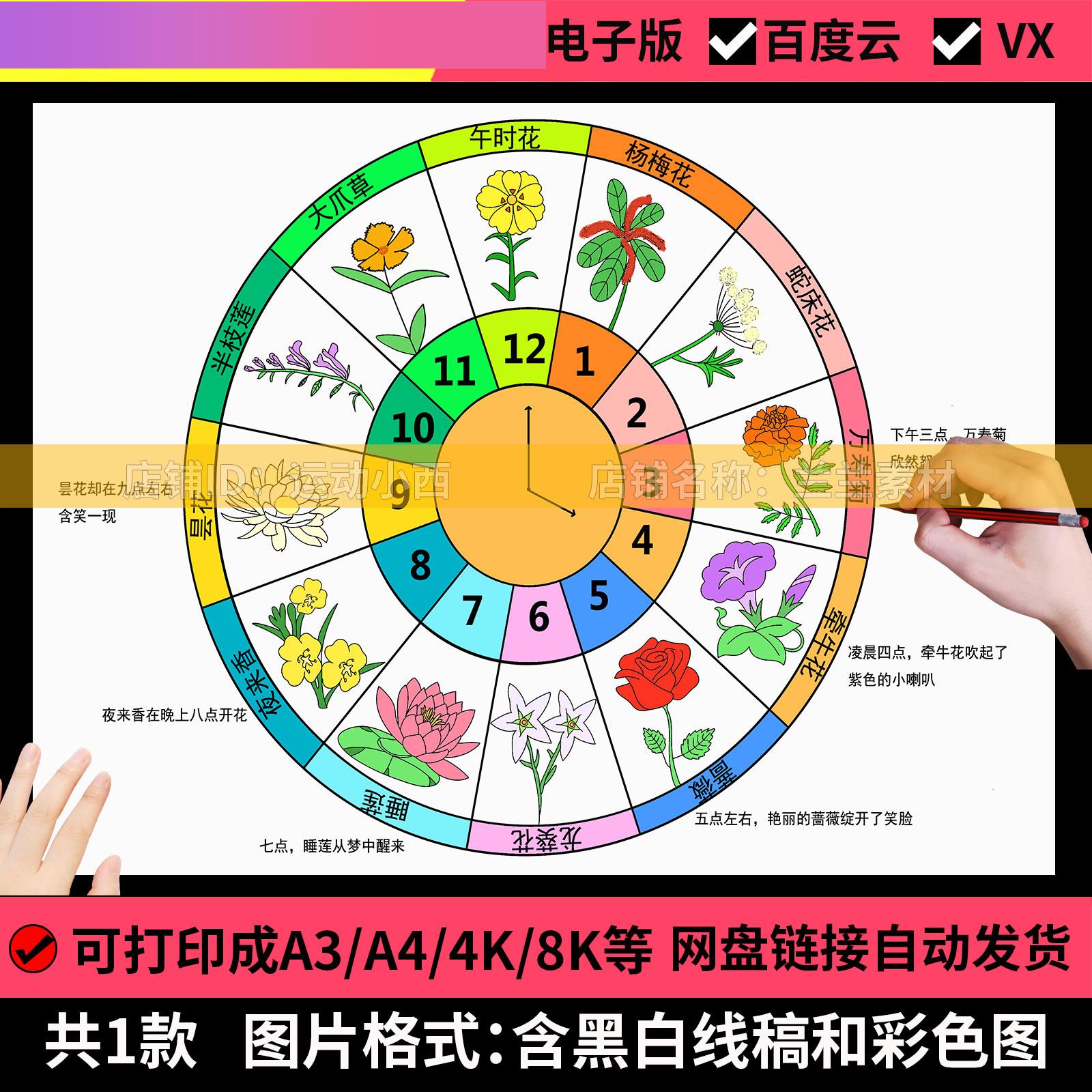 电子版花钟手抄报小学语文三年级电子版小报鲜花卉认识时钟表课文
