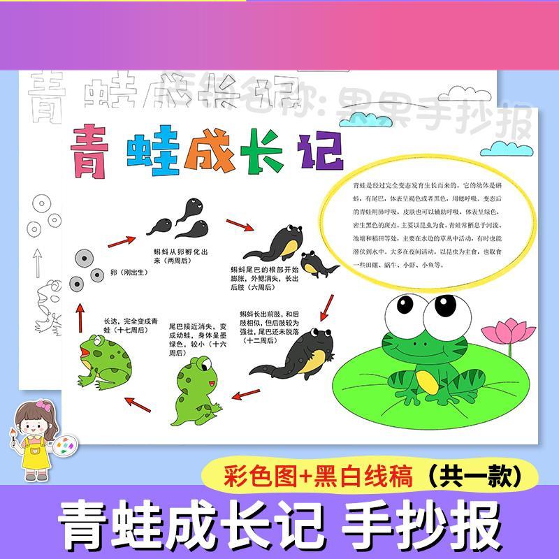 电子版青蛙成长记手抄报模板动物生长记录小学生自然观察日记笔记