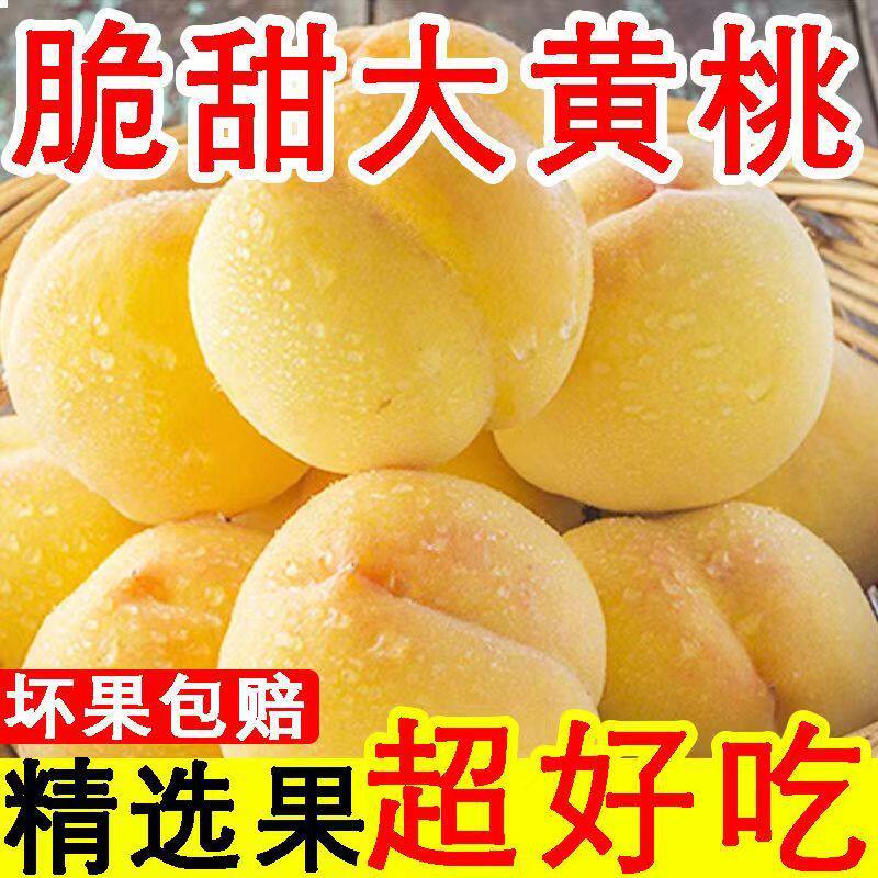 陕西大荔黄桃新鲜水果当季现摘现发孕妇宝宝黄金蜜桃子