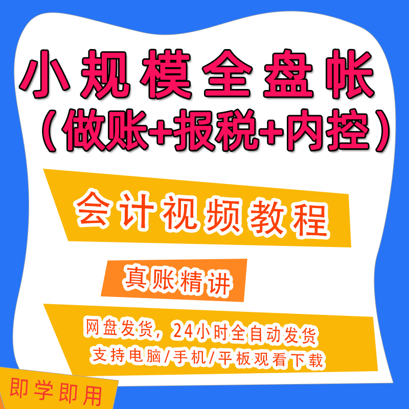 小规模全盘帐实操教程会计课程做帐报税内控资料课件A46