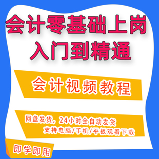 会计零基础入门学会计出纳实操记账软件视频入门网课课件资料B19