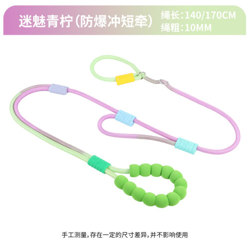 宠物P绳P链防爆冲双股可调节