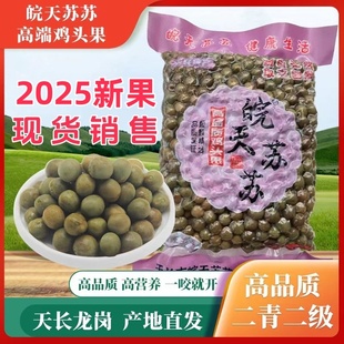 2025天长龙岗农产二青二级新鲜带壳鸡头果芡实产地直发500g