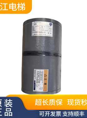 蒂森电梯抱闸制动器 DMB 16E1 PMS280/PMS300曳引机全新原装现货