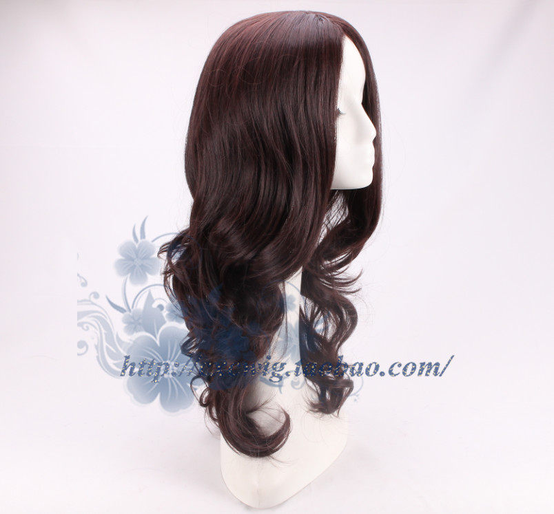 Perruque Les cheveux longs - Ref 2610104 Image 3