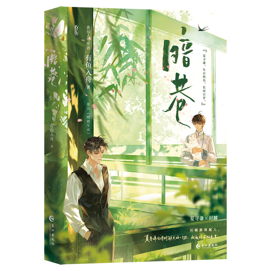 暗巷原名《暗巷生欢》