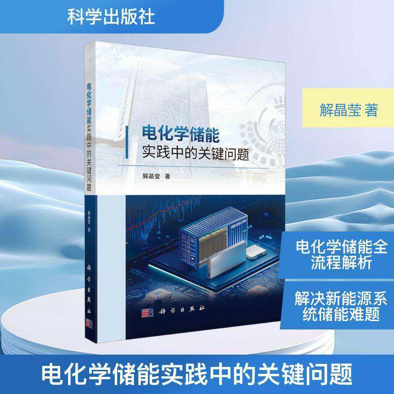 电化学储能实践中的关键问题解晶莹  工业技术书籍