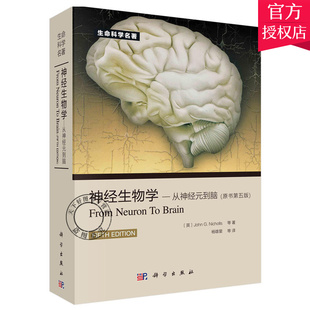 【正版现货】神经生物学从神经元到脑（原书第五版）第5版 尼克尔斯 杨雄里译 生命科学名著丛书神经细胞脑科学基础书籍神经医学