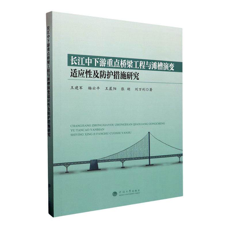 长江中下游桥梁工程与滩槽演变适应及防护措施研究王建军  工业技术书籍
