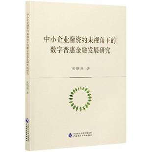 中小企业融资约束视角下的数字普惠金融发展研究张晓燕普通大众数字技术应用金融事业研究中国经济书籍