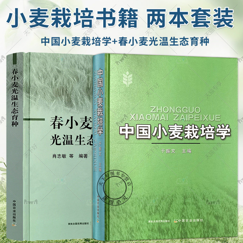 中国小麦栽培学 于振文+春小麦光温生态育种 肖志敏 中国农业出版社 春小麦光温生态育种技术方法 小麦高产栽培创新技术书籍