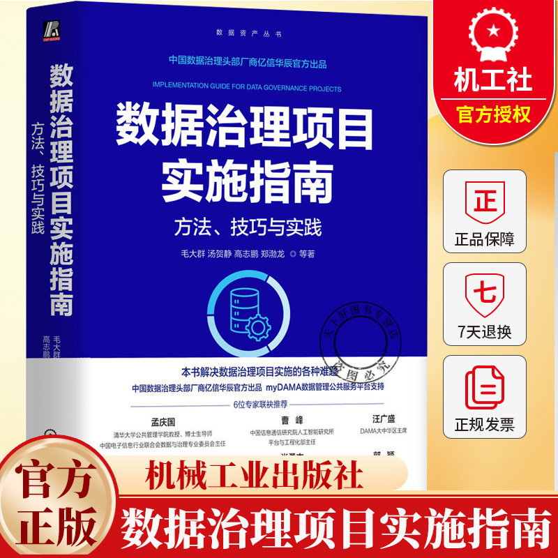 数据治理项目实施指南方法技巧与实践 毛大群等 编著 数据资产丛书 9787111794066 机械工业出版社