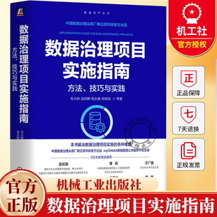 数据治理项目实施指南方法技巧与实践 毛大群等 编著 数据资产丛书 9787111794066 机械工业出版社