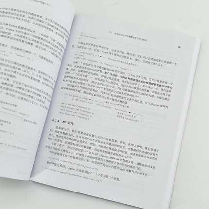 AI辅助编程Python实战:基于GitHub Copilot和ChatGPT利奥·波特  计算机与网络书籍