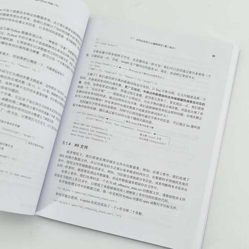 AI辅助编程Python实战:基于GitHub Copilot和ChatGPT利奥·波特  计算机与网络书籍