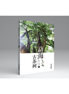 勐海古茶树(精)何青元等  农业、林业书籍