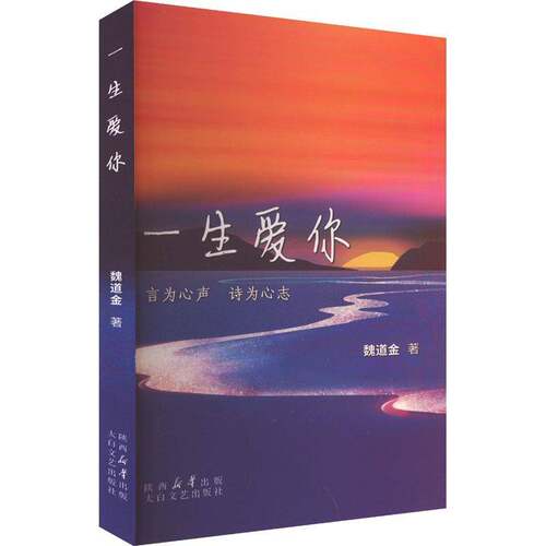 一生爱你魏道金  文学书籍