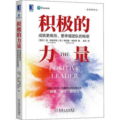 积极的力量：成更、更幸福团队的秘密：how energy and happiness fuel top-performing teams扬·穆赫菲特  管理书籍