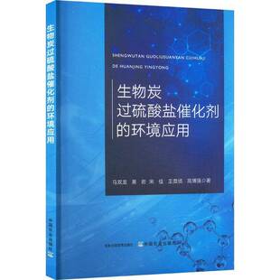 生物炭过硫酸盐催化剂的环境应用马双龙  工业技术书籍