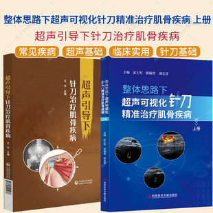 任选】超声引导下针刀治疗肌骨疾病+整体思路下超声可视化针刀精准治疗肌骨疾病 上册针刀疗法医学书籍